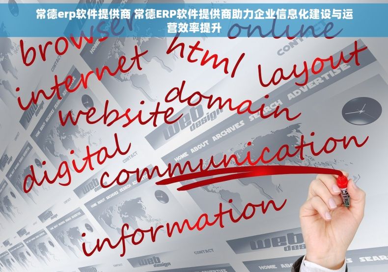 常德erp软件提供商 常德ERP软件提供商助力企业信息化建设与运营效率提升