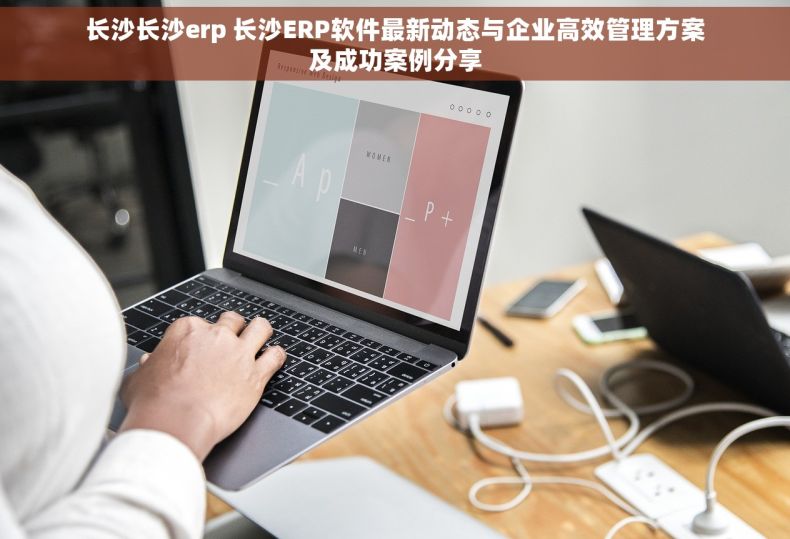 长沙长沙erp 长沙ERP软件最新动态与企业高效管理方案及成功案例分享