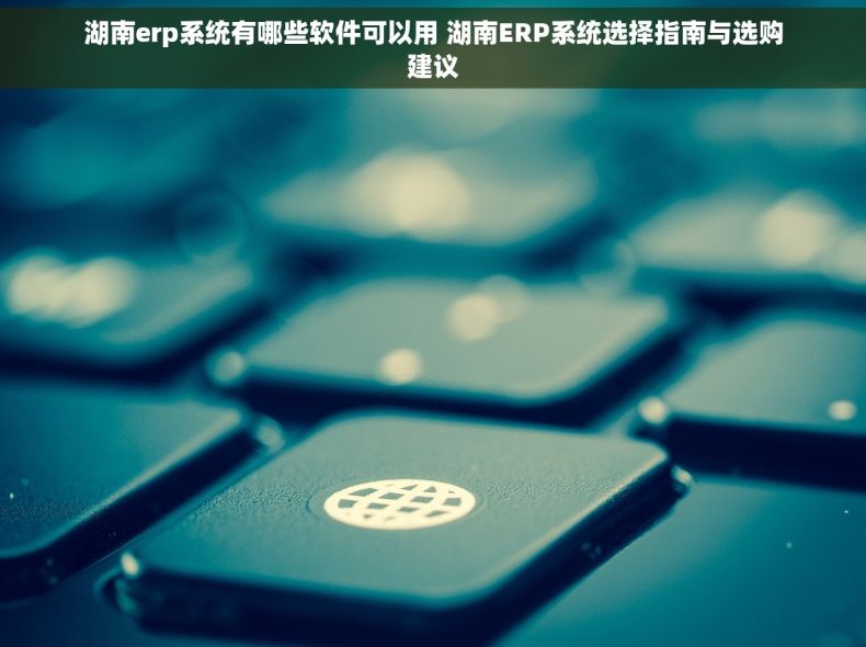 湖南erp系统有哪些软件可以用 湖南ERP系统选择指南与选购建议