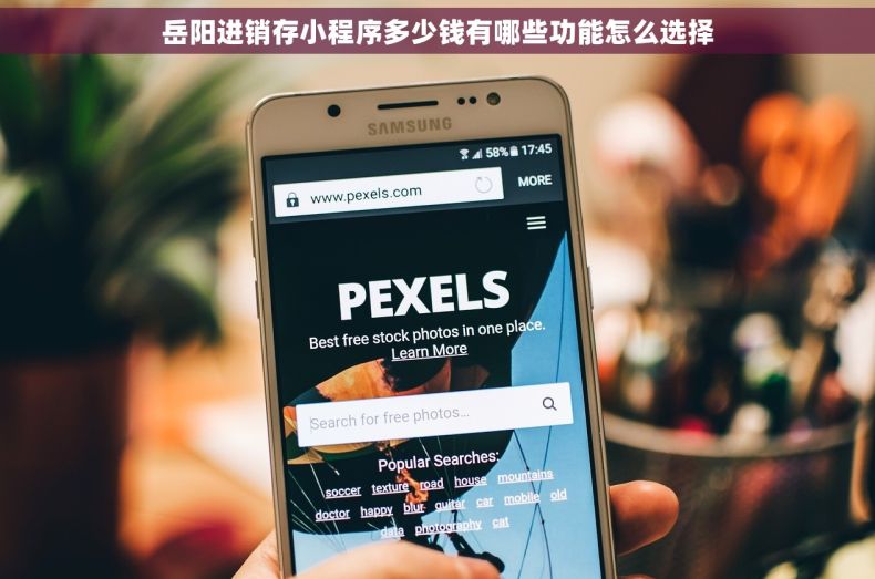 岳阳进销存小程序多少钱有哪些功能怎么选择