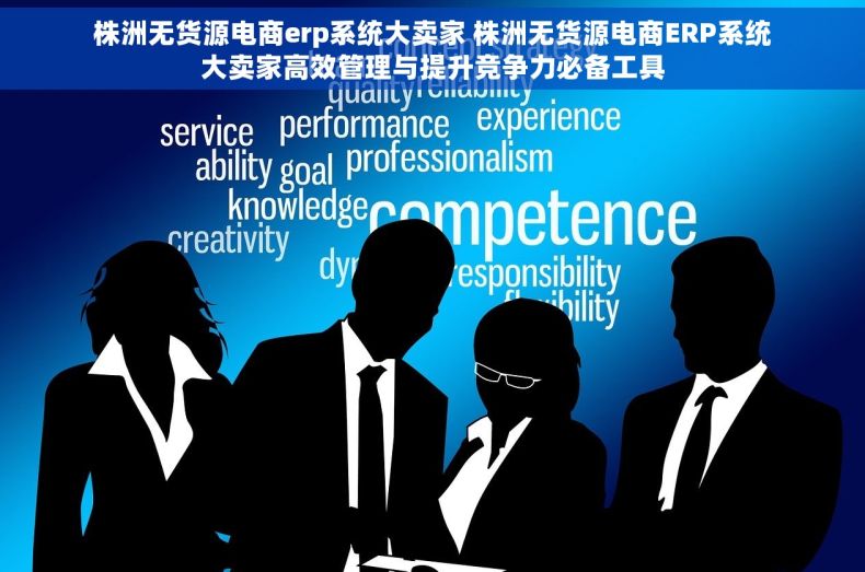 株洲无货源电商erp系统大卖家 株洲无货源电商ERP系统大卖家高效管理与提升竞争力必备工具