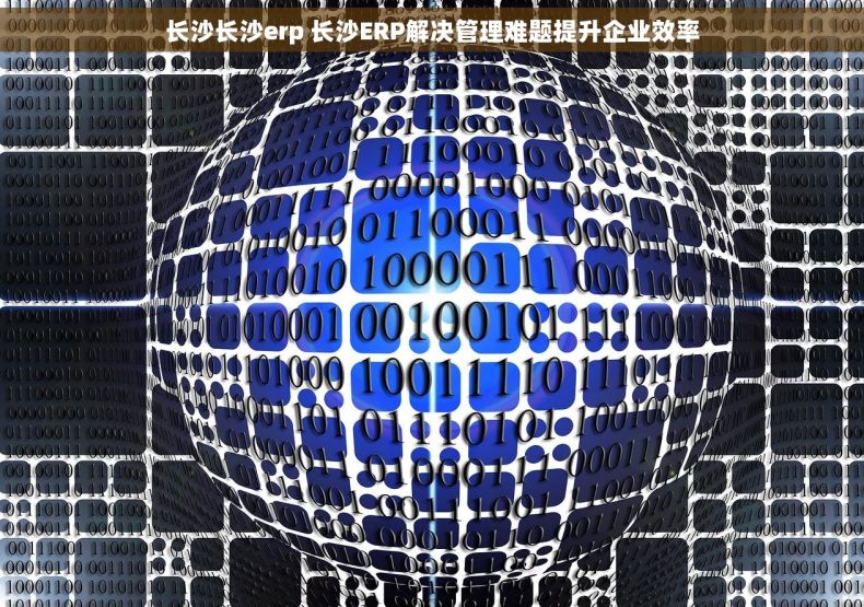 长沙长沙erp 长沙ERP解决管理难题提升企业效率