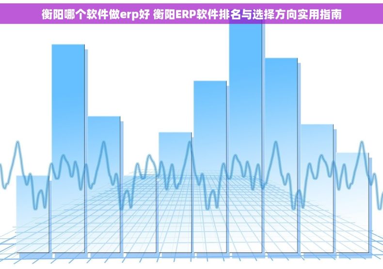 衡阳哪个软件做erp好 衡阳ERP软件排名与选择方向实用指南