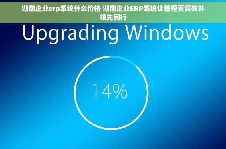 湖南企业erp系统什么价格 湖南企业ERP系统让管理更高效并领先同行