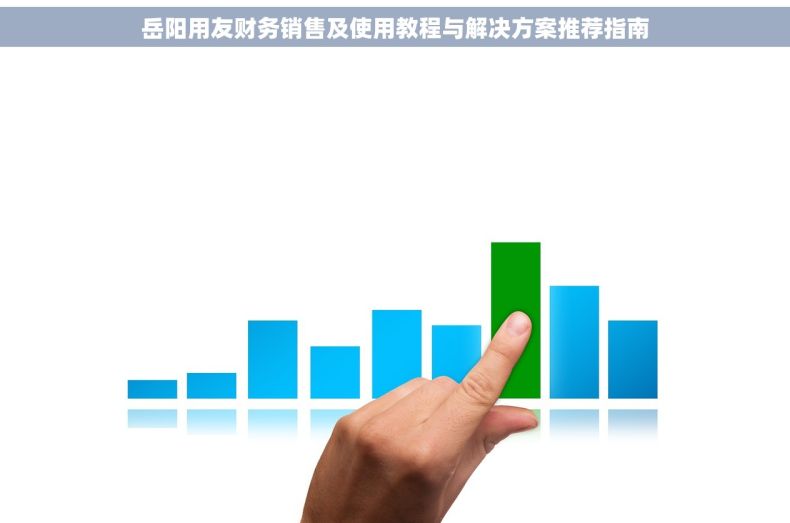 岳阳用友财务销售及使用教程与解决方案推荐指南