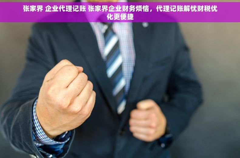 张家界 企业代理记账 张家界企业财务烦恼，代理记账解忧财税优化更便捷