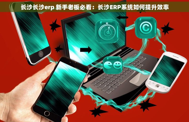 长沙长沙erp 新手老板必看：长沙ERP系统如何提升效率