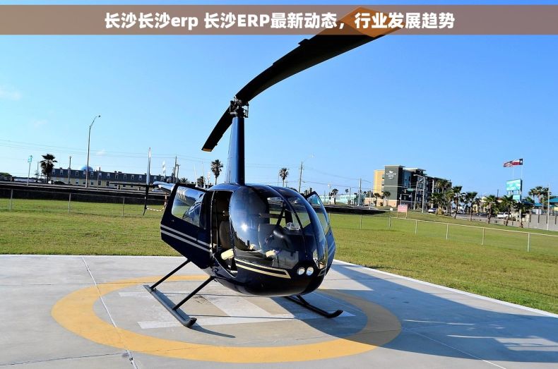长沙长沙erp 长沙ERP最新动态，行业发展趋势