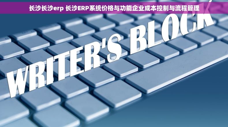 长沙长沙erp 长沙ERP系统价格与功能企业成本控制与流程管理