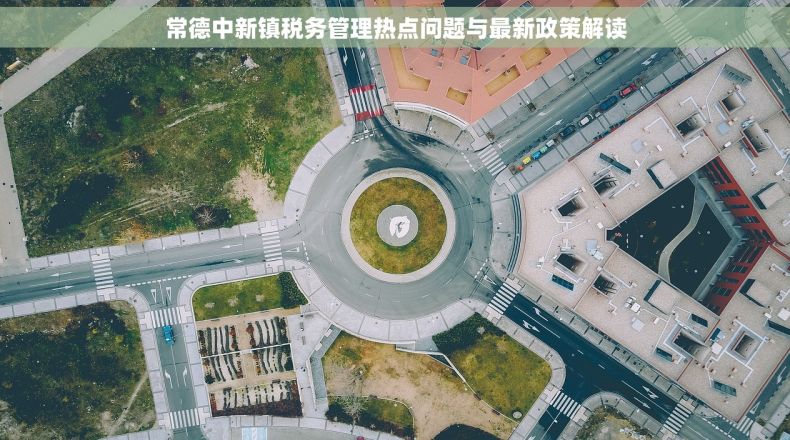 常德中新镇税务管理热点问题与最新政策解读