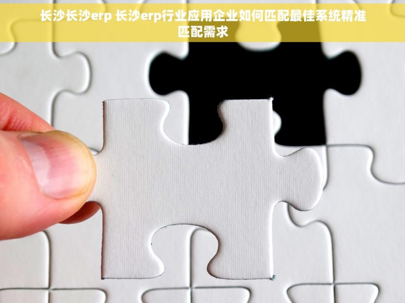 长沙长沙erp 长沙erp行业应用企业如何匹配最佳系统精准匹配需求