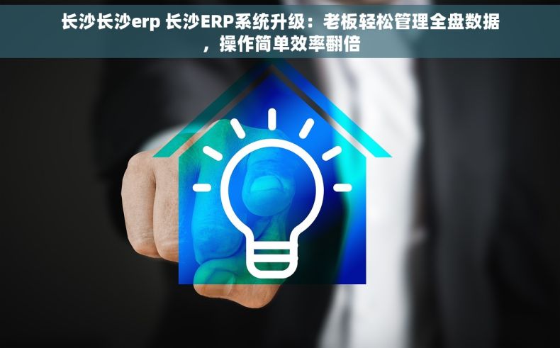 长沙长沙erp 长沙ERP系统升级：老板轻松管理全盘数据，操作简单效率翻倍