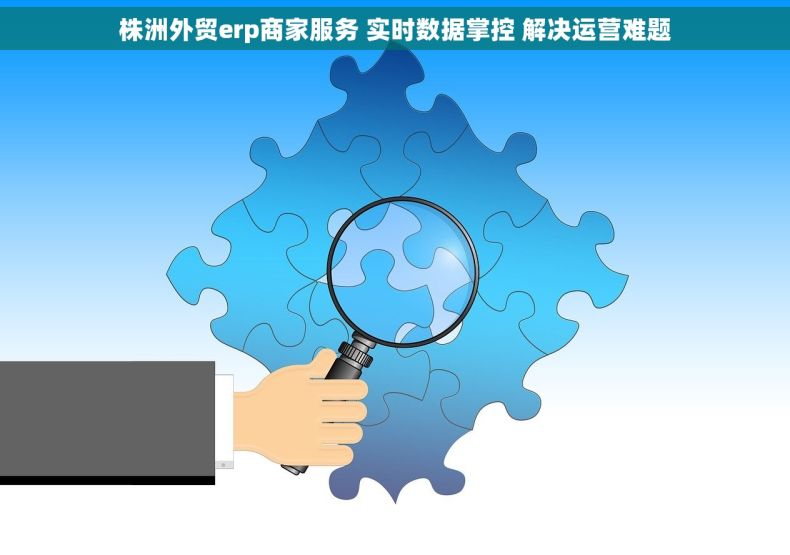 株洲外贸erp商家服务 实时数据掌控 解决运营难题