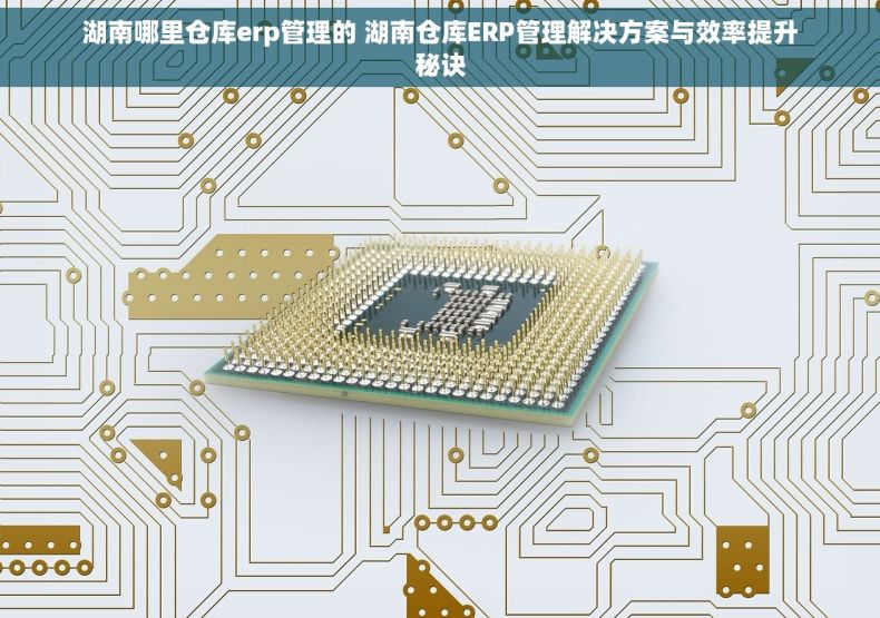 湖南哪里仓库erp管理的 湖南仓库ERP管理解决方案与效率提升秘诀