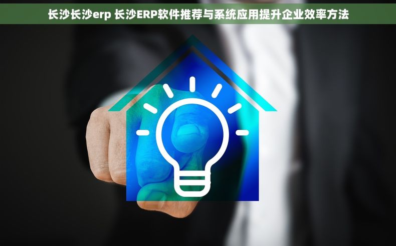 长沙长沙erp 长沙ERP软件推荐与系统应用提升企业效率方法