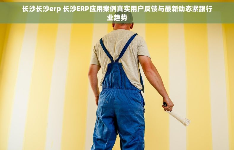 长沙长沙erp 长沙ERP应用案例真实用户反馈与最新动态紧跟行业趋势