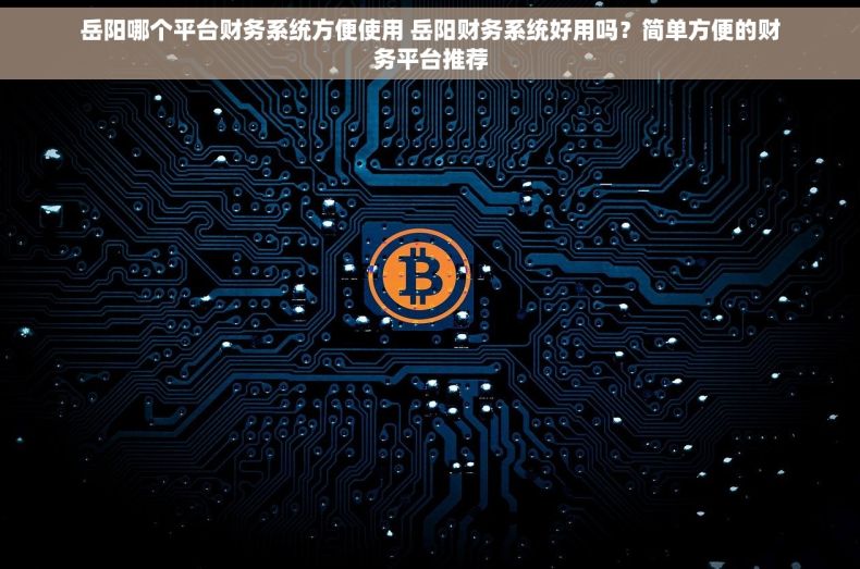 岳阳哪个平台财务系统方便使用 岳阳财务系统好用吗？简单方便的财务平台推荐