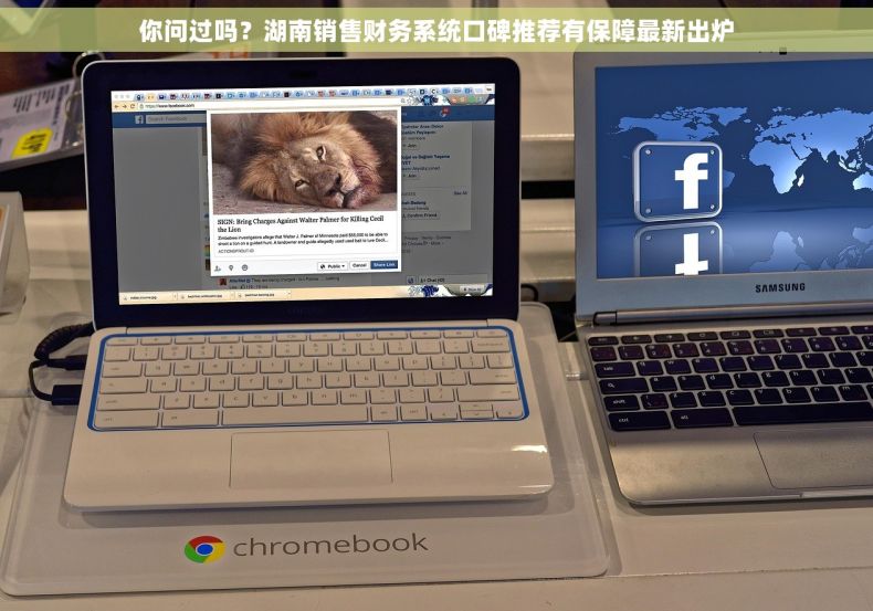 你问过吗？湖南销售财务系统口碑推荐有保障最新出炉