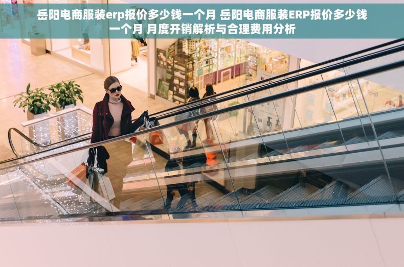 岳阳电商服装erp报价多少钱一个月 岳阳电商服装ERP报价多少钱一个月 月度开销解析与合理费用分析