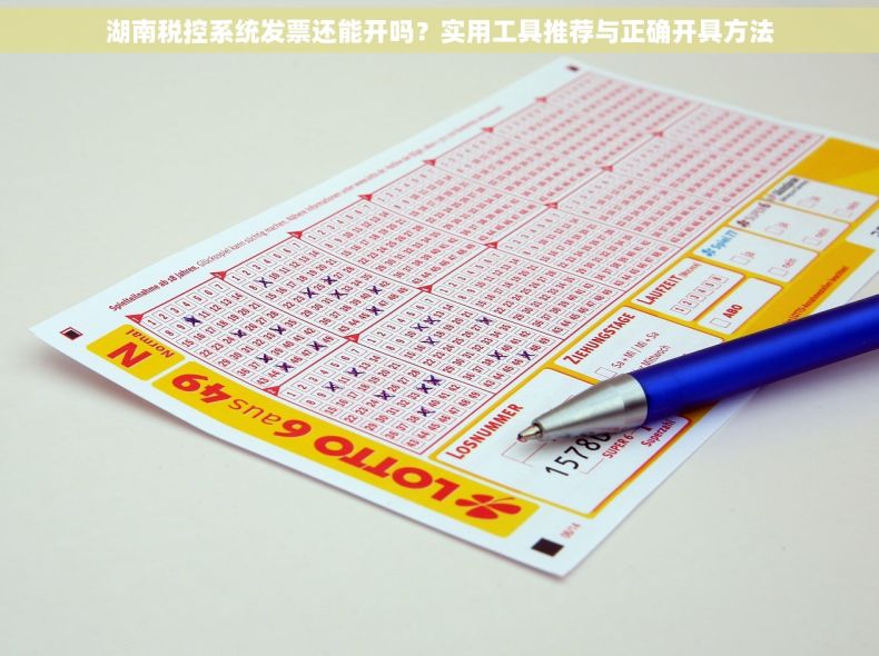 湖南税控系统发票还能开吗？实用工具推荐与正确开具方法