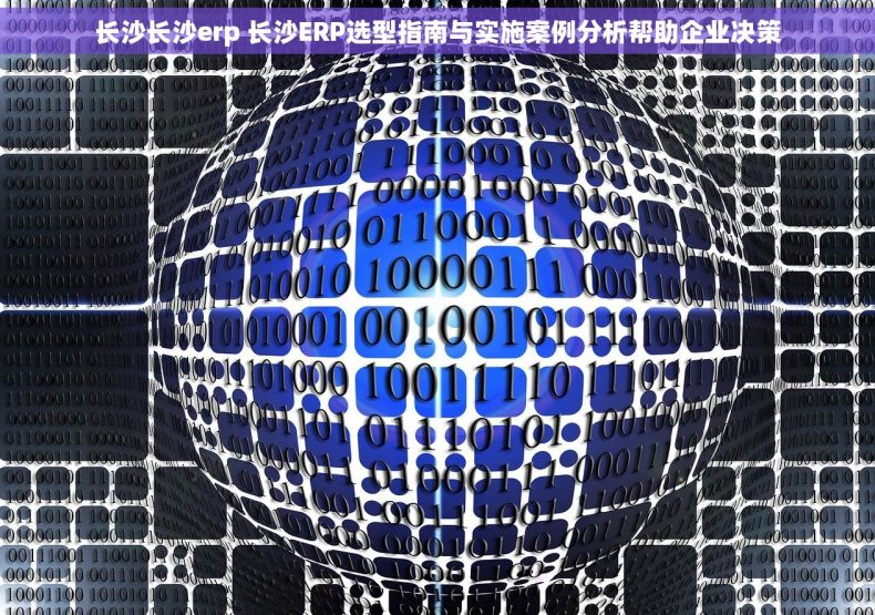 长沙长沙erp 长沙ERP选型指南与实施案例分析帮助企业决策