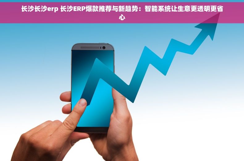 长沙长沙erp 长沙ERP爆款推荐与新趋势：智能系统让生意更透明更省心