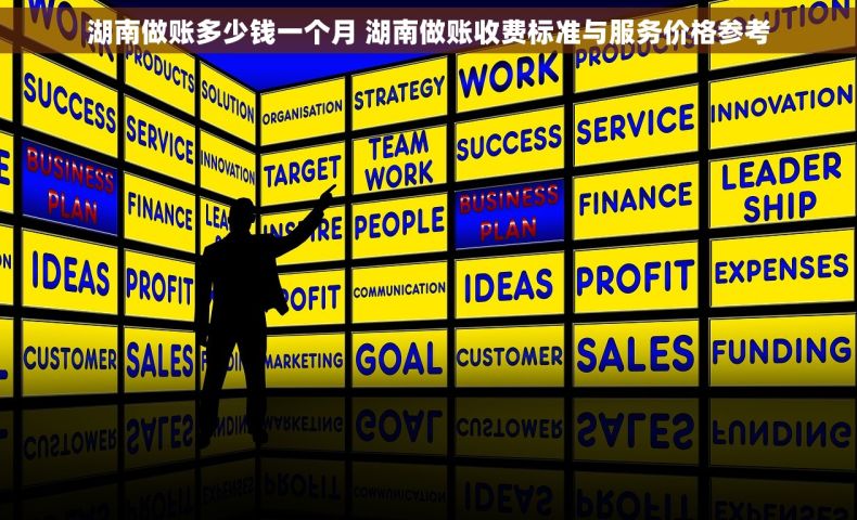 湖南做账多少钱一个月 湖南做账收费标准与服务价格参考