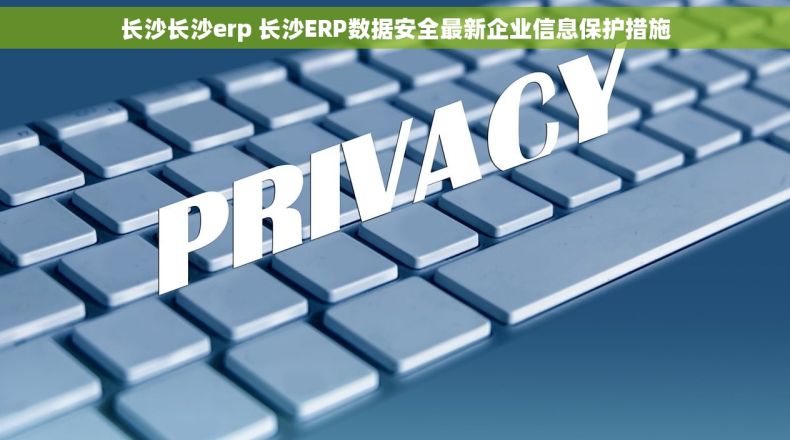 长沙长沙erp 长沙ERP数据安全最新企业信息保护措施