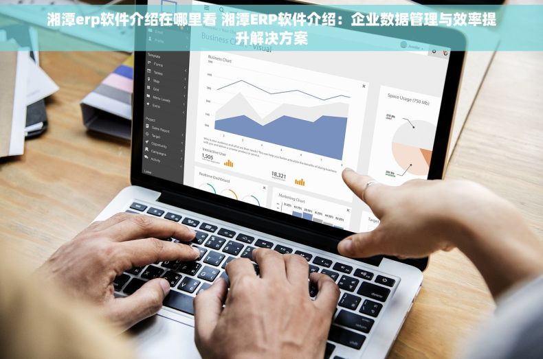 湘潭erp软件介绍在哪里看 湘潭ERP软件介绍：企业数据管理与效率提升解决方案
