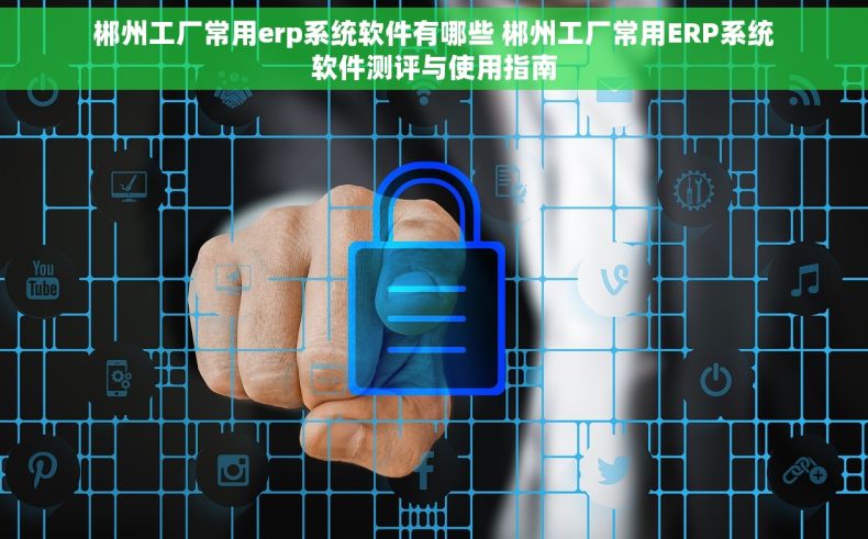 郴州工厂常用erp系统软件有哪些 郴州工厂常用ERP系统软件测评与使用指南