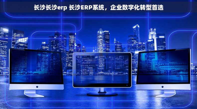 长沙长沙erp 长沙ERP系统，企业数字化转型首选
