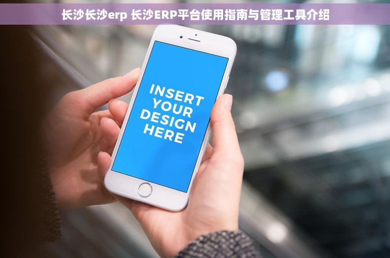 长沙长沙erp 长沙ERP平台使用指南与管理工具介绍