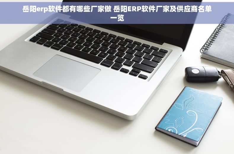 岳阳erp软件都有哪些厂家做 岳阳ERP软件厂家及供应商名单一览