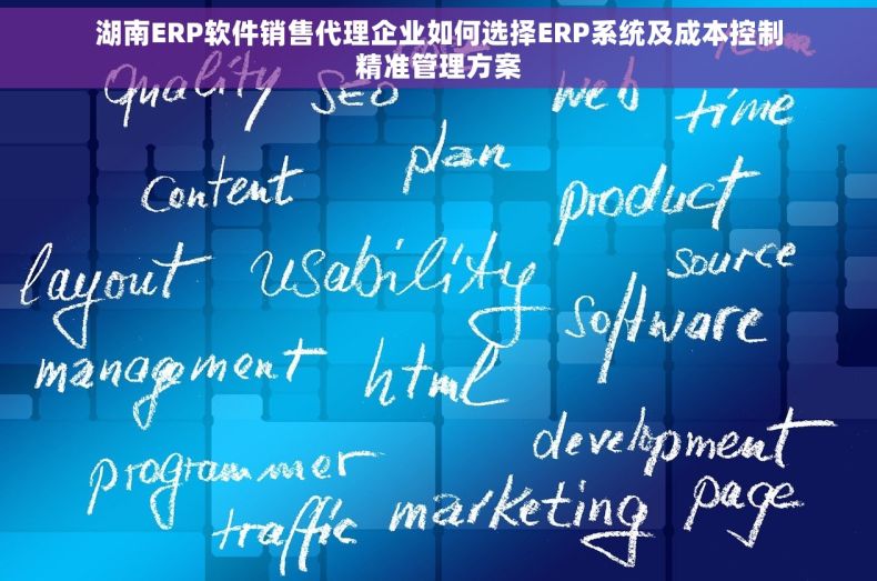 湖南ERP软件销售代理企业如何选择ERP系统及成本控制精准管理方案