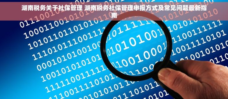 湖南税务关于社保管理 湖南税务社保管理申报方式及常见问题最新指南