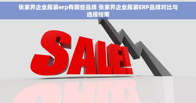 张家界企业服装erp有哪些品牌 张家界企业服装ERP品牌对比与选择指南