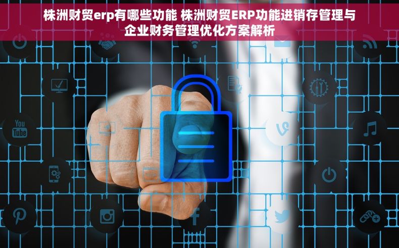 株洲财贸erp有哪些功能 株洲财贸ERP功能进销存管理与企业财务管理优化方案解析