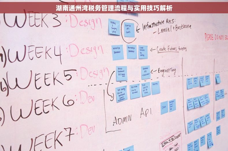 湖南通州湾税务管理流程与实用技巧解析