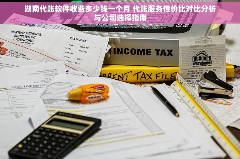湖南代账软件收费多少钱一个月 代账服务性价比对比分析与公司选择指南