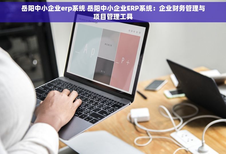 岳阳中小企业erp系统 岳阳中小企业ERP系统：企业财务管理与项目管理工具