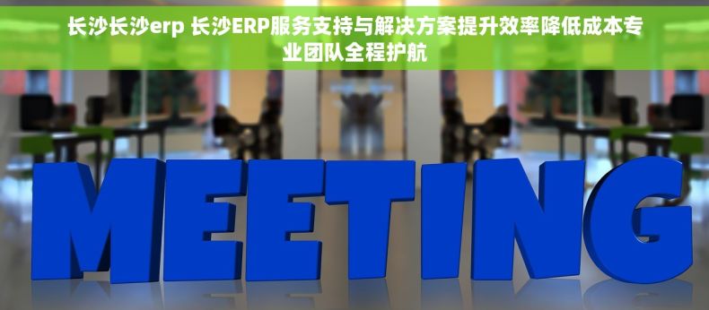 长沙长沙erp 长沙ERP服务支持与解决方案提升效率降低成本专业团队全程护航