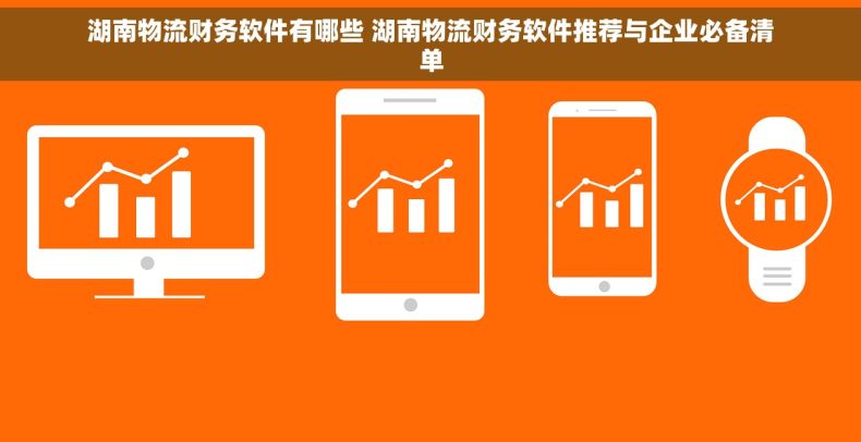 湖南物流财务软件有哪些 湖南物流财务软件推荐与企业必备清单