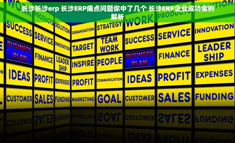 长沙长沙erp 长沙ERP痛点问题你中了几个 长沙ERP企业成功案例解析