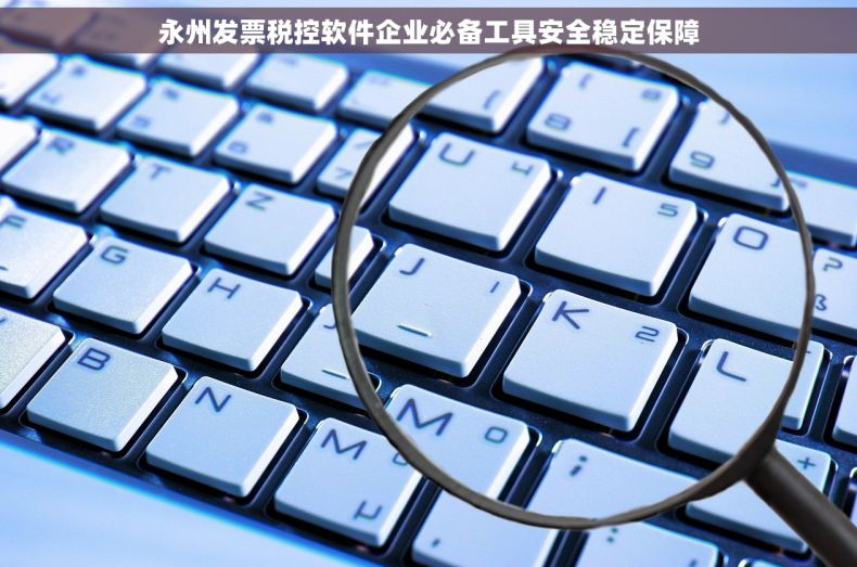 永州发票税控软件企业必备工具安全稳定保障