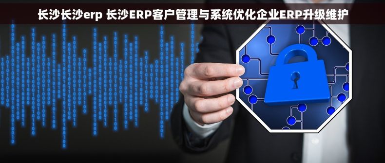 长沙长沙erp 长沙ERP客户管理与系统优化企业ERP升级维护
