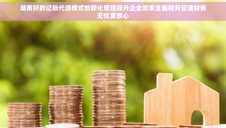 湖南好的记账代理模式创新化管理提升企业效率全面税务管理财务无忧更放心