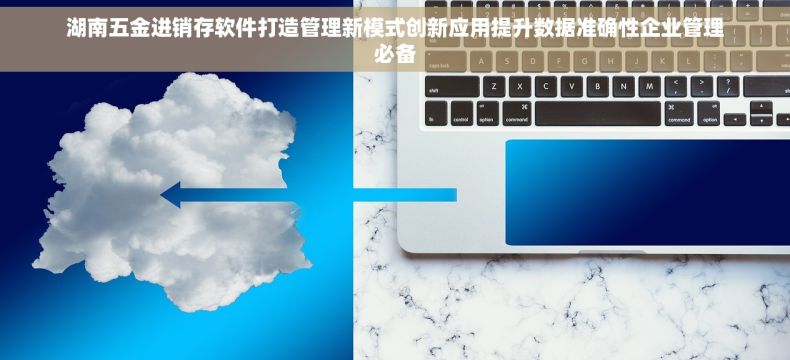 湖南五金进销存软件打造管理新模式创新应用提升数据准确性企业管理必备