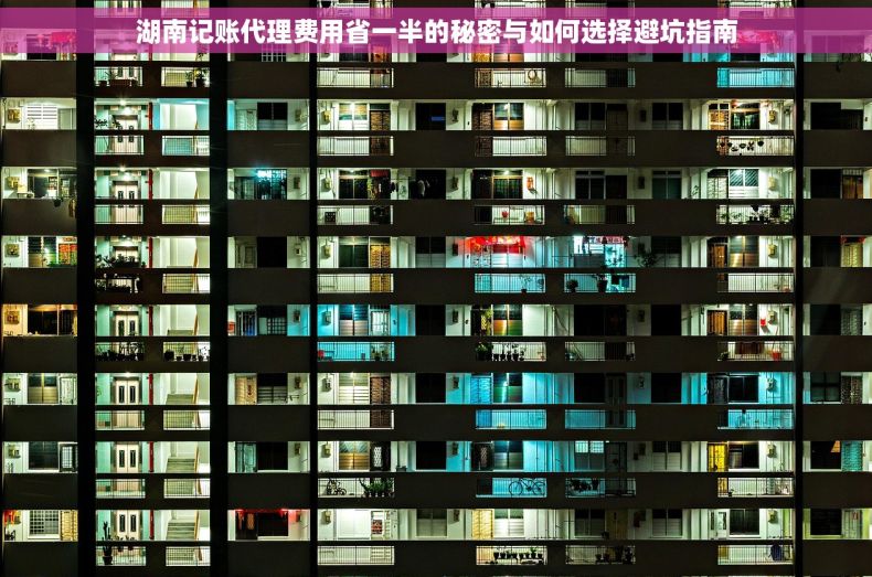 湖南记账代理费用省一半的秘密与如何选择避坑指南