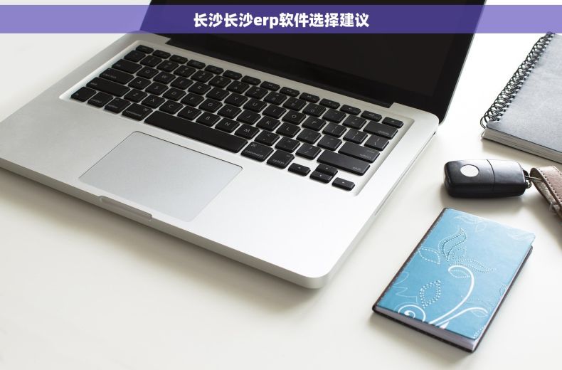 长沙长沙erp软件选择建议