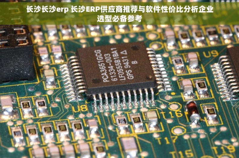 长沙长沙erp 长沙ERP供应商推荐与软件性价比分析企业选型必备参考